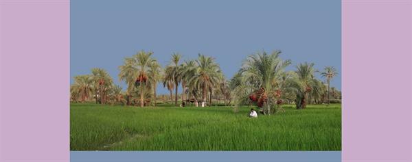 طرح تکاپو در حوزه‌ی میراث‌فرهنگی، صنایع دستی و گردشگری