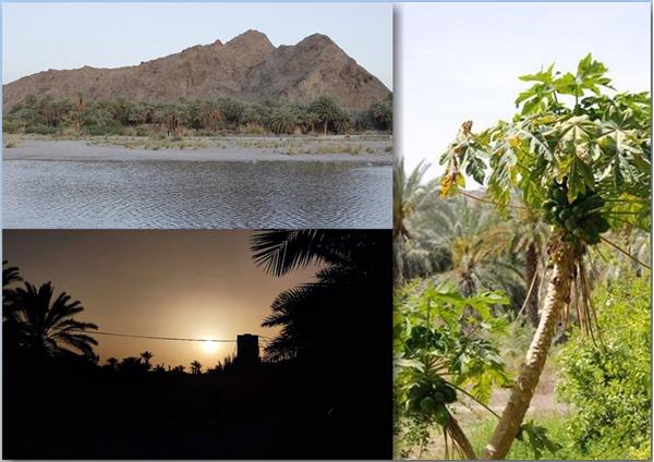 بهره مندی اهالی شریف روستای کجدر با جمعیتی بالغ بر 1500 نفر از اینترنت پرسرعت