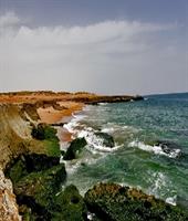 دریای بندر چابهار