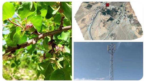 اتصال بیش از 250 نفر از اهالی روستاهای کهنک و گروک به اینترنت پرسرعت