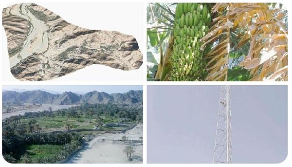 دسترسی بیش از 1100 خانوار روستایی به شبکه ملی اطلاعات