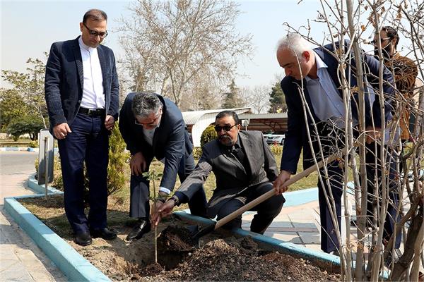 به دعوت مرکز روابط عمومی و اطلاع رسانی وزارت ارتباطات: ۸نهال به پاس زحمات ۸مدیر روابط عمومی کاشته شد
