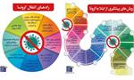 پیشگیری و آموزش، راه مقابله با تهدید کرونا ویروس